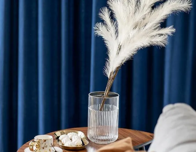 Magnolia, Free Parking, Taras, * Breslavia